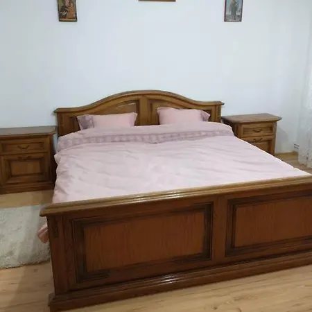 Casa Livia In Inima Bucovinei * 古拉哈莫卢洛伊